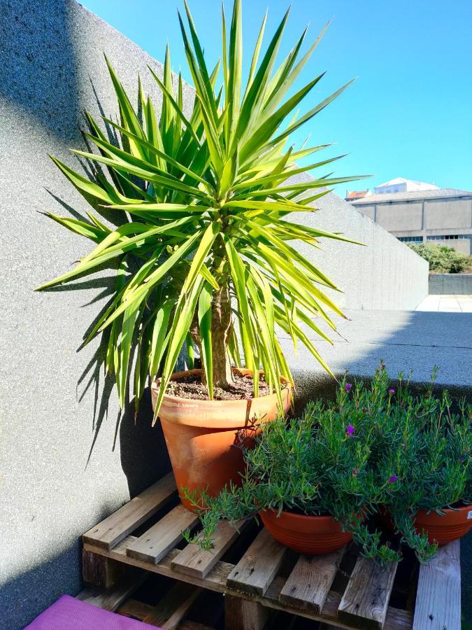 Santa Catarina Terrace - Unique Apartment OOporto Extérieur photo